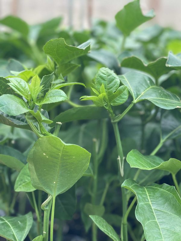 Công Ty TNHH SX & TM Ngọc Thủy Tiên