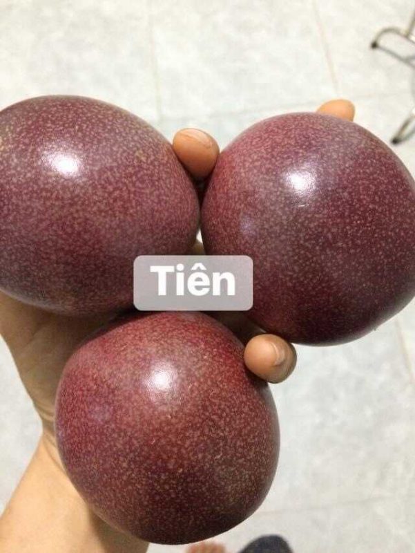 Công Ty TNHH SX & TM Ngọc Thủy Tiên