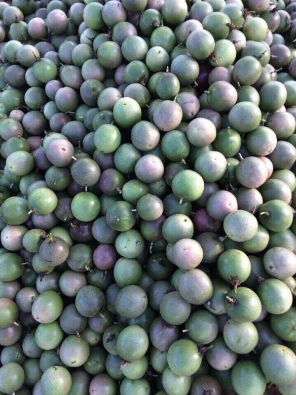 Công Ty TNHH SX & TM Ngọc Thủy Tiên