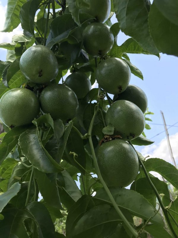 Công Ty TNHH SX & TM Ngọc Thủy Tiên