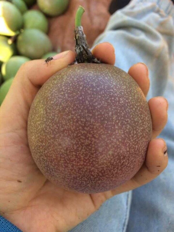 Công Ty TNHH SX & TM Ngọc Thủy Tiên