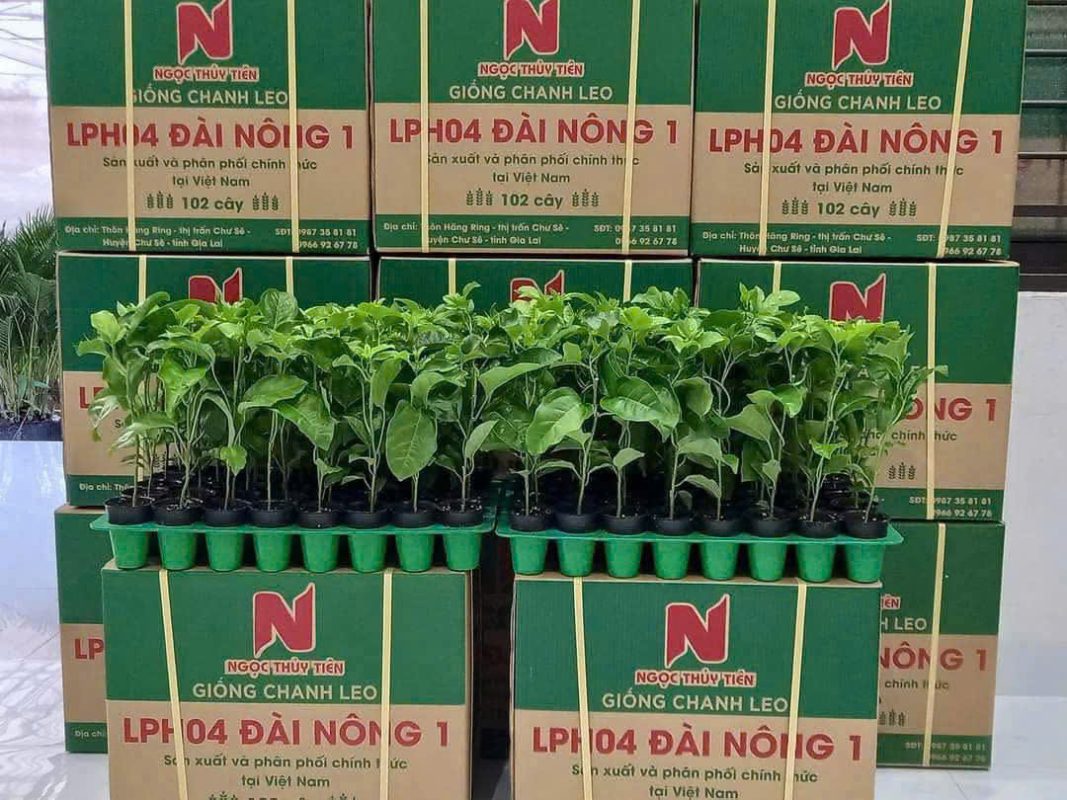 Công Ty TNHH SX & TM Ngọc Thủy Tiên