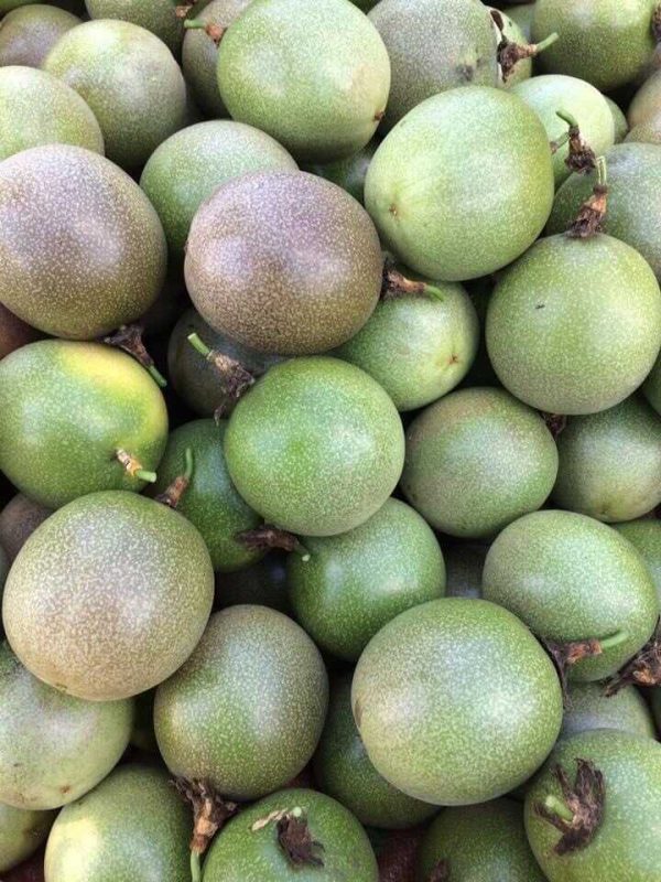 Công Ty TNHH SX & TM Ngọc Thủy Tiên