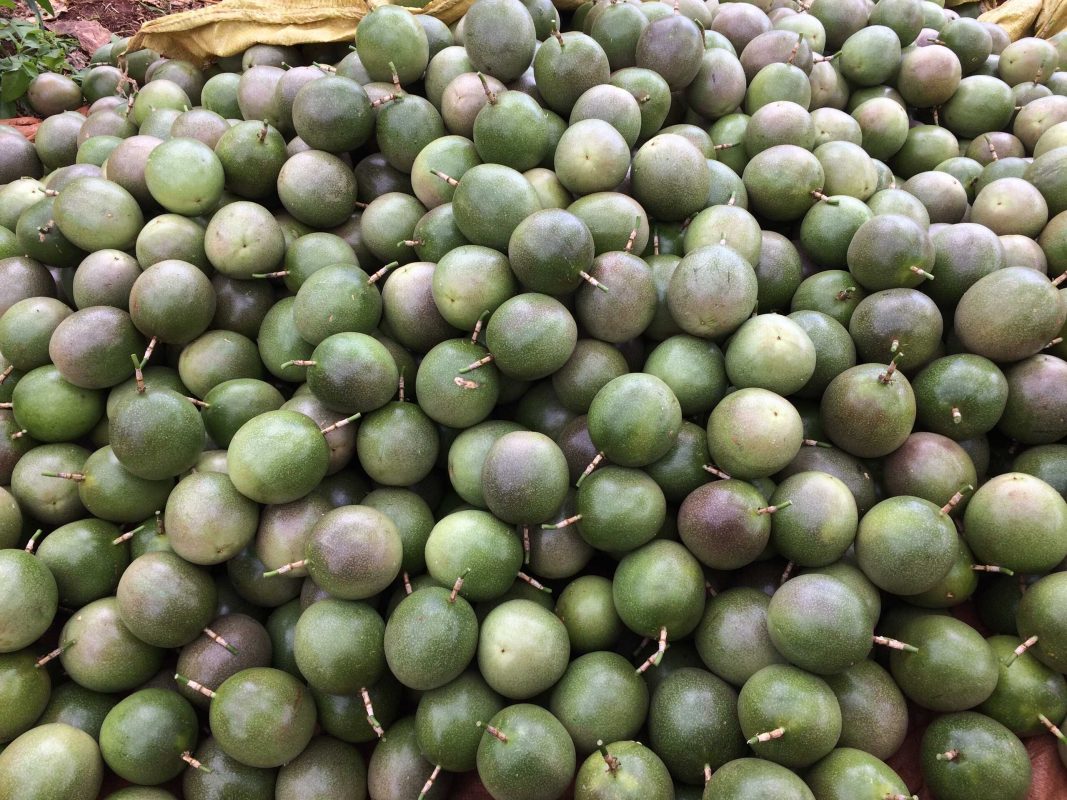 Công Ty TNHH SX & TM Ngọc Thủy Tiên