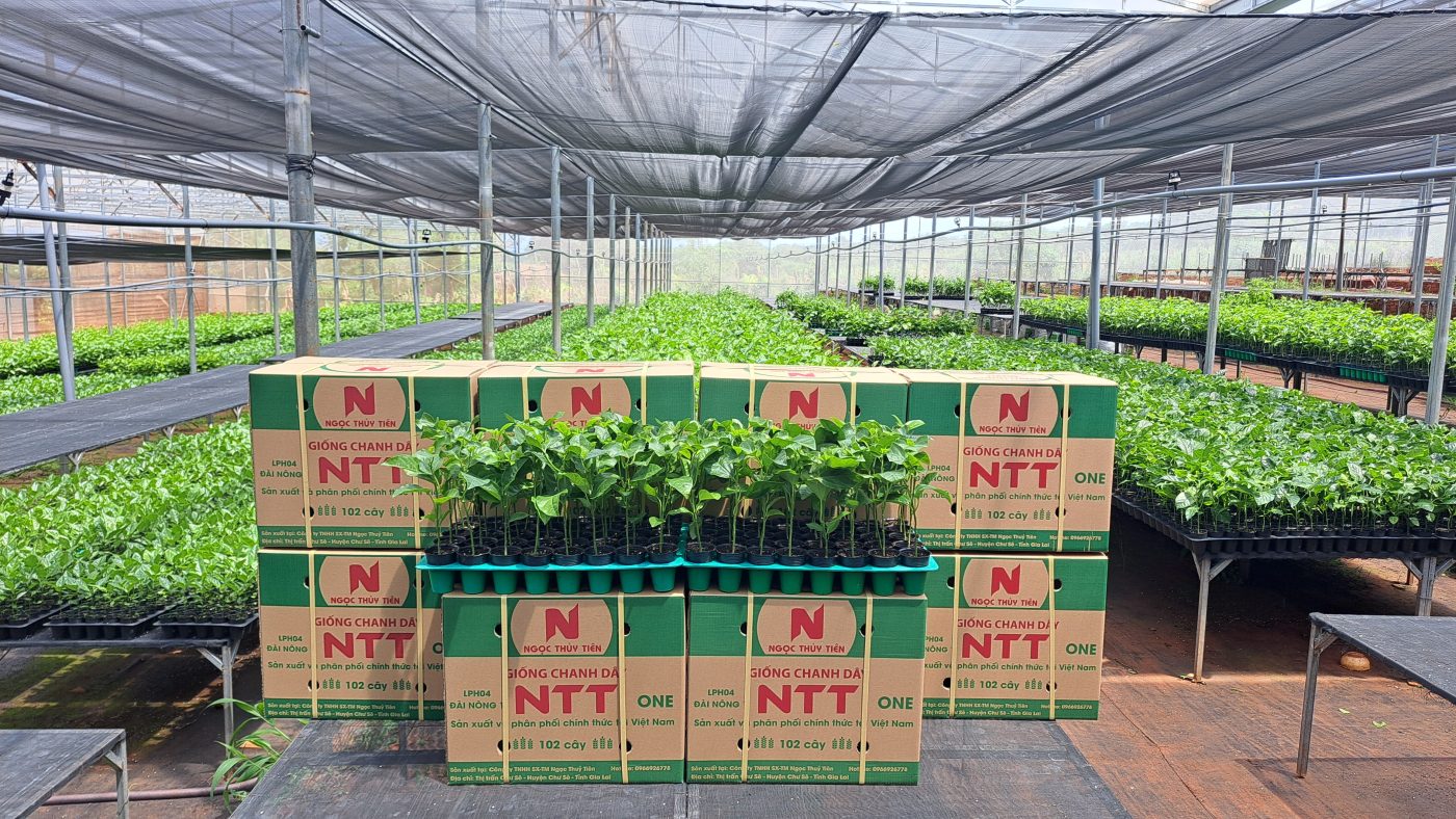 Công Ty TNHH SX & TM Ngọc Thủy Tiên