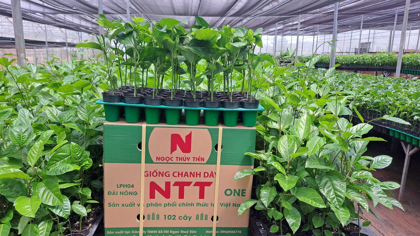 Công Ty TNHH SX & TM Ngọc Thủy Tiên