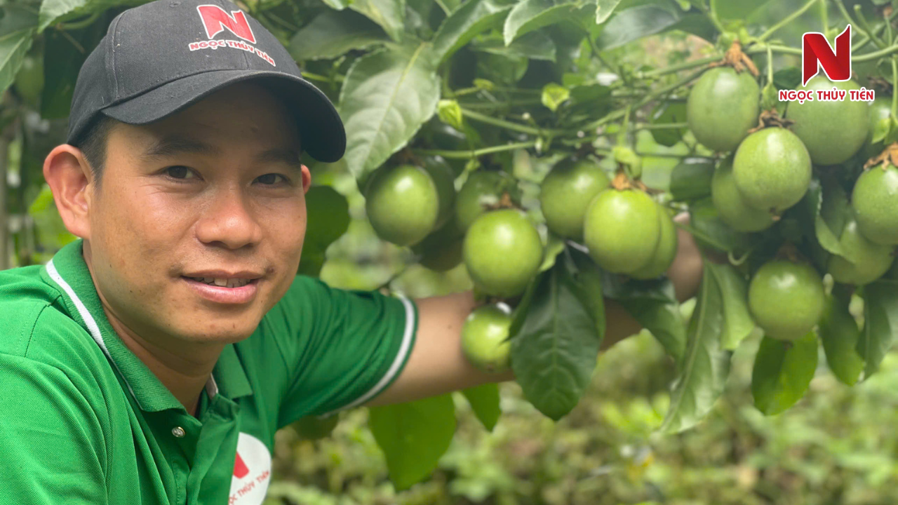 bon-phan-cho-chanh-day-2-thang-tuoi